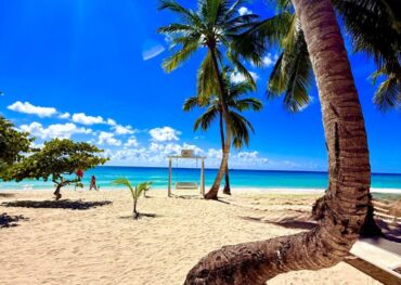 Playa de Isla Saona con palmeras, arena clara y mar turquesa