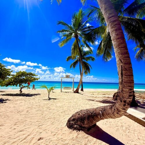 Playa de Isla Saona con palmeras, arena clara y mar turquesa