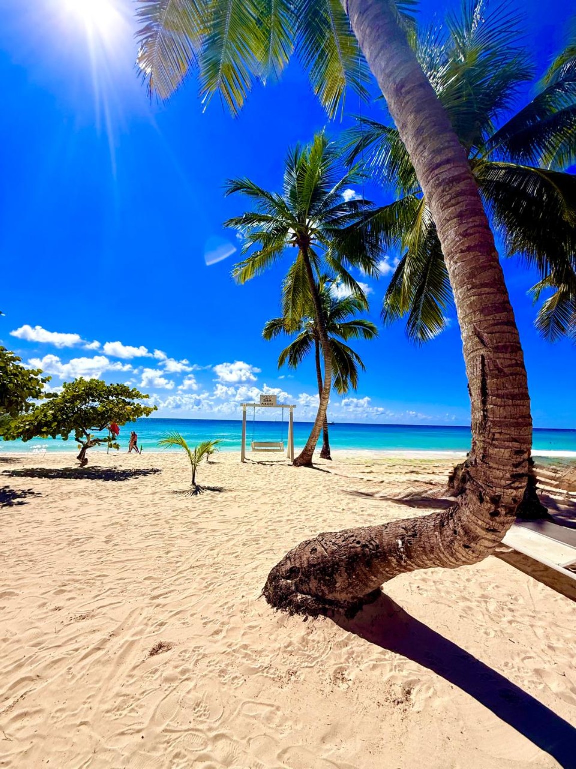 Playa de Isla Saona con palmeras, arena clara y mar turquesa
